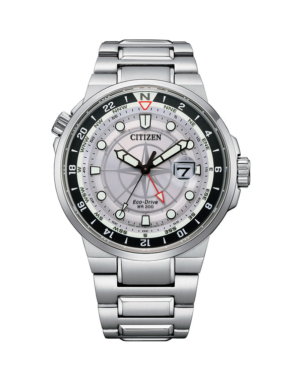 Citizen dual time zone sale watches